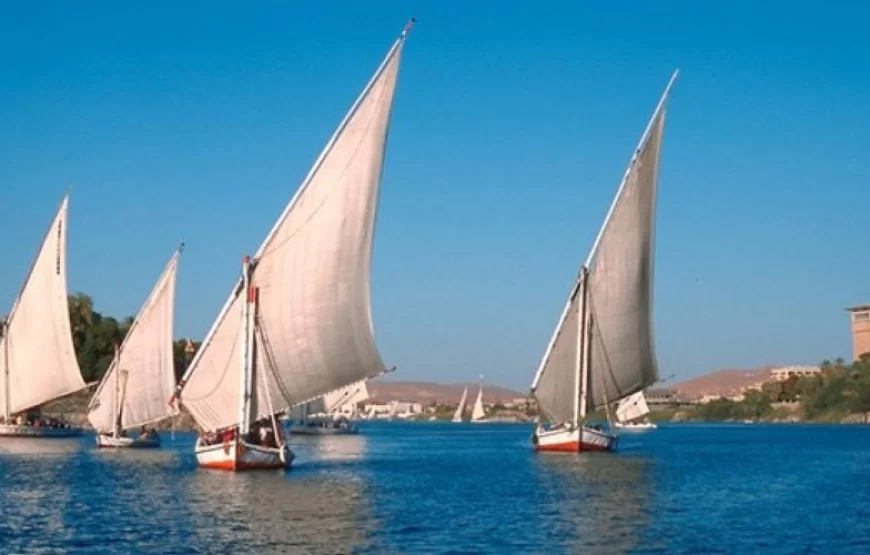 Cairo Local Experience – Felucca, Cart Ride & Walking Tour
