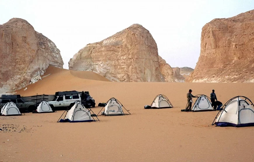 Bahariya Oasis & White Desert Adventure