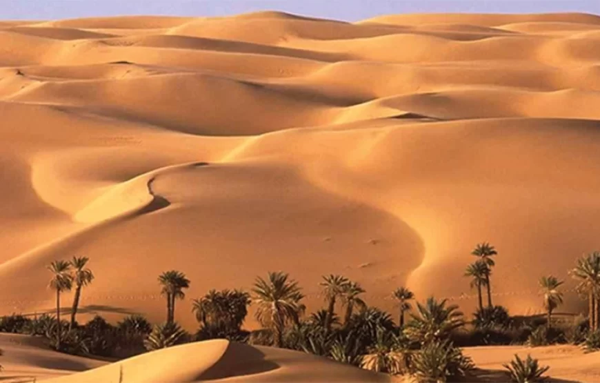 Cairo: 2-Day Bahariya Oasis Camp and Desert Tour