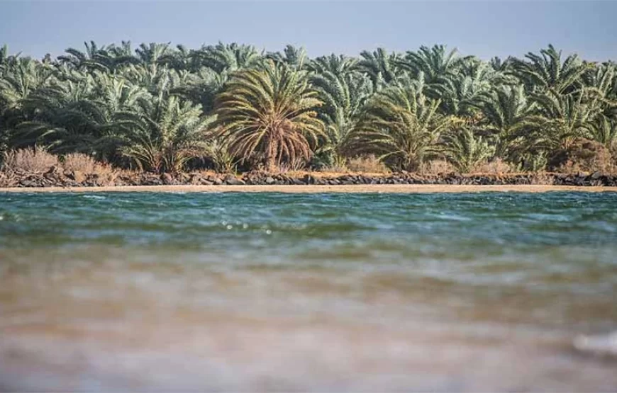 Cairo: 2-Day Bahariya Oasis Camp and Desert Tour