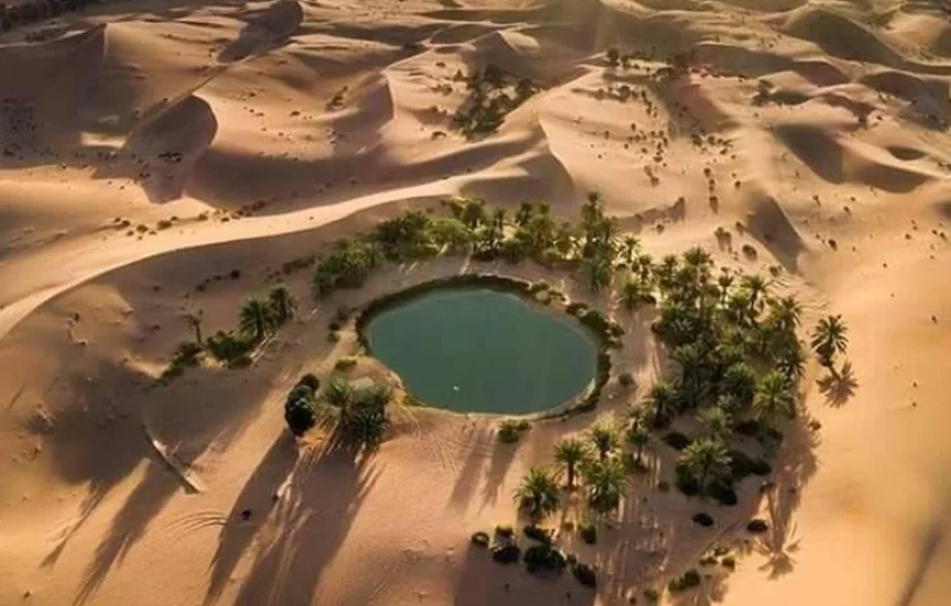 Cairo: 2-Day Bahariya Oasis Camp and Desert Tour