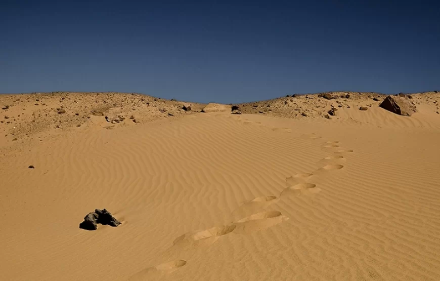 Cairo: 2-Day Bahariya Oasis Camp and Desert Tour