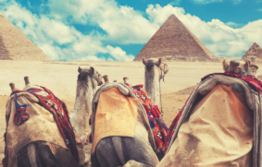 SOUND AND LIGHT SHOW WITH DINNER ON PYRAMIDS VIEW RESTAURANT ROOF