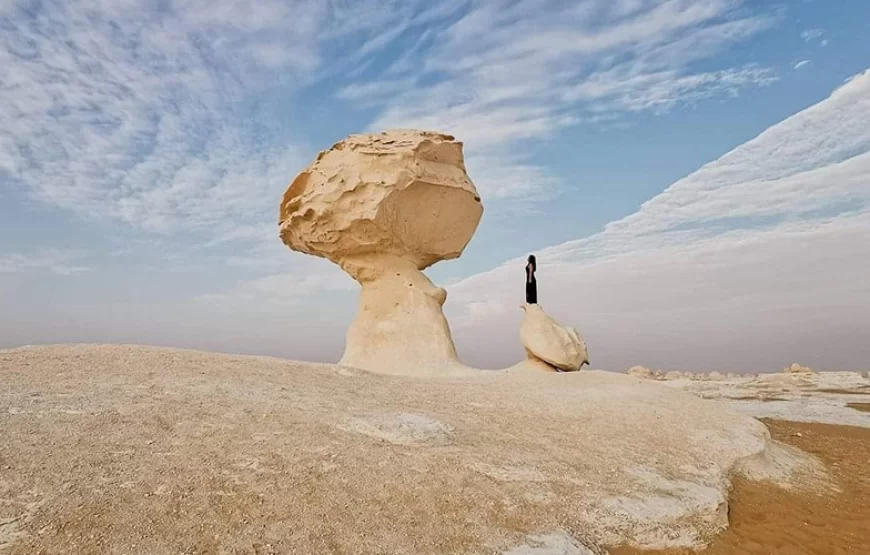 Bahariya Oasis & White Desert Adventure