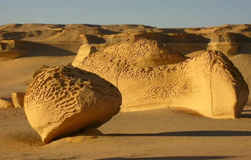 private day tour from Cairo to El Fayoum