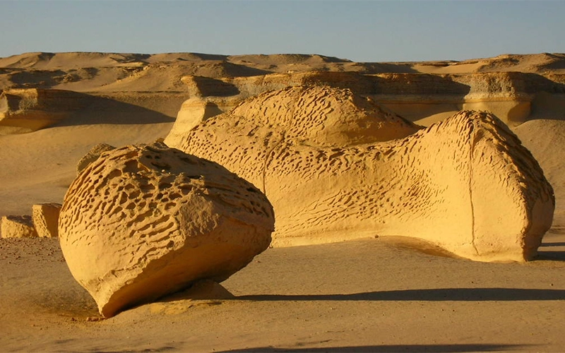 private day tour from Cairo to El Fayoum
