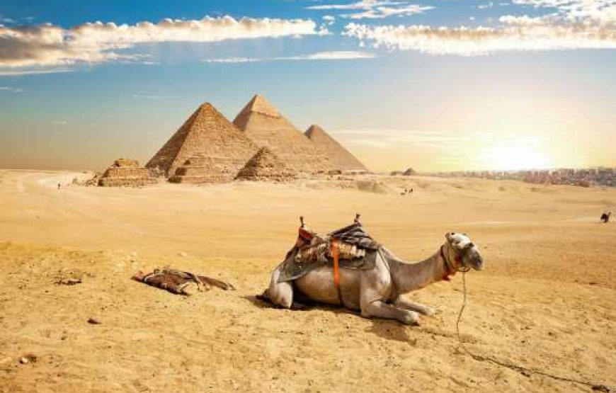 Camel Ride in the Desert with Panoramic Pyramids View