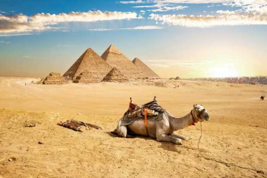 Camel Ride in the Desert with Panoramic Pyramids View