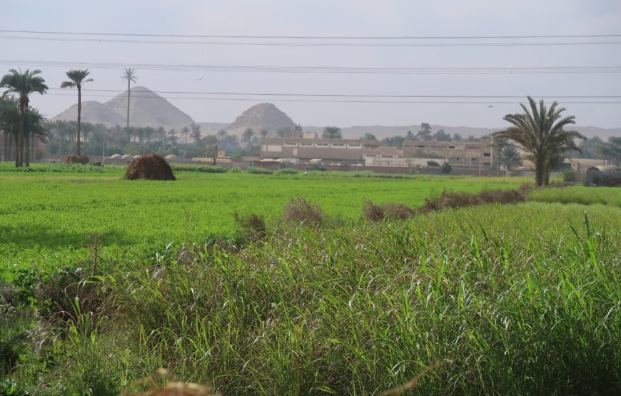 🌿 Countryside Tour – A Taste of Rural Egypt 🌿