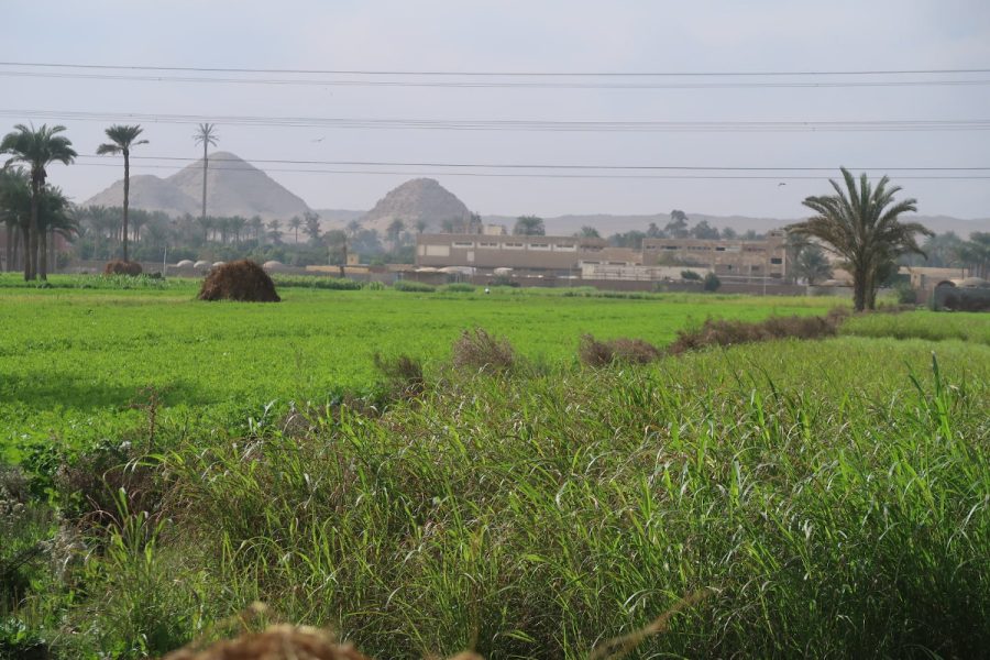 🌿 Countryside Tour – A Taste of Rural Egypt 🌿