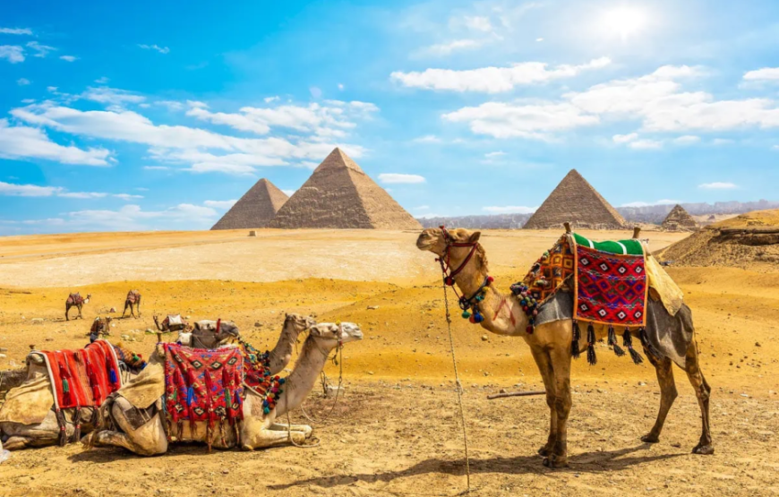 Camel Ride in the Desert with Panoramic Pyramids View