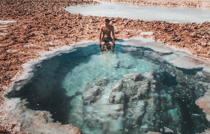 🌴 Siwa Oasis Adventure