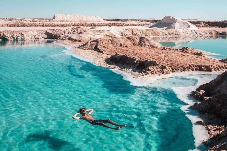 🌴 Siwa Oasis Adventure