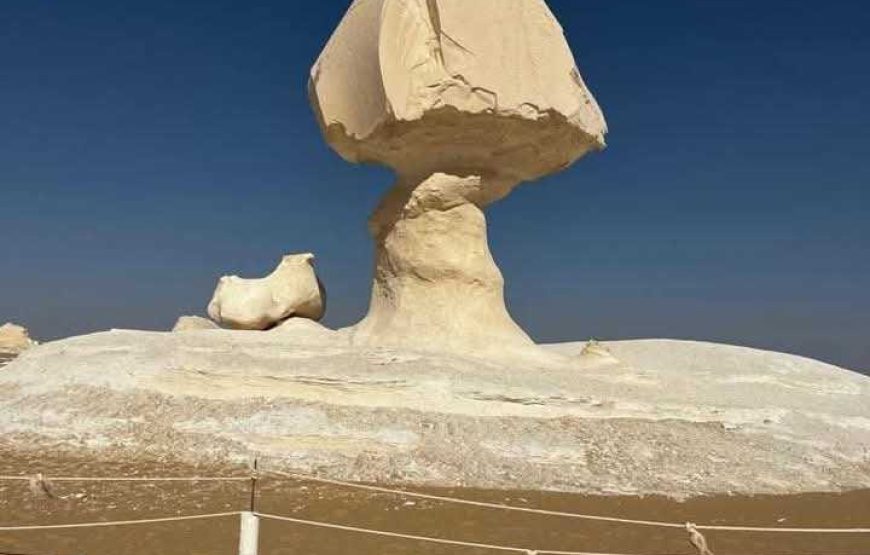 Bahariya Oasis & White Desert Adventure