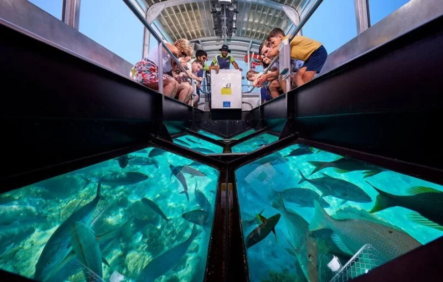 Sharm El Sheikh – Tours & Activities 🌴🌊