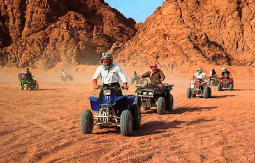 Sharm El Sheikh – Tours & Activities 🌴🌊